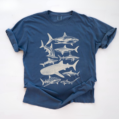 Vintage Shark Species Shirt V1