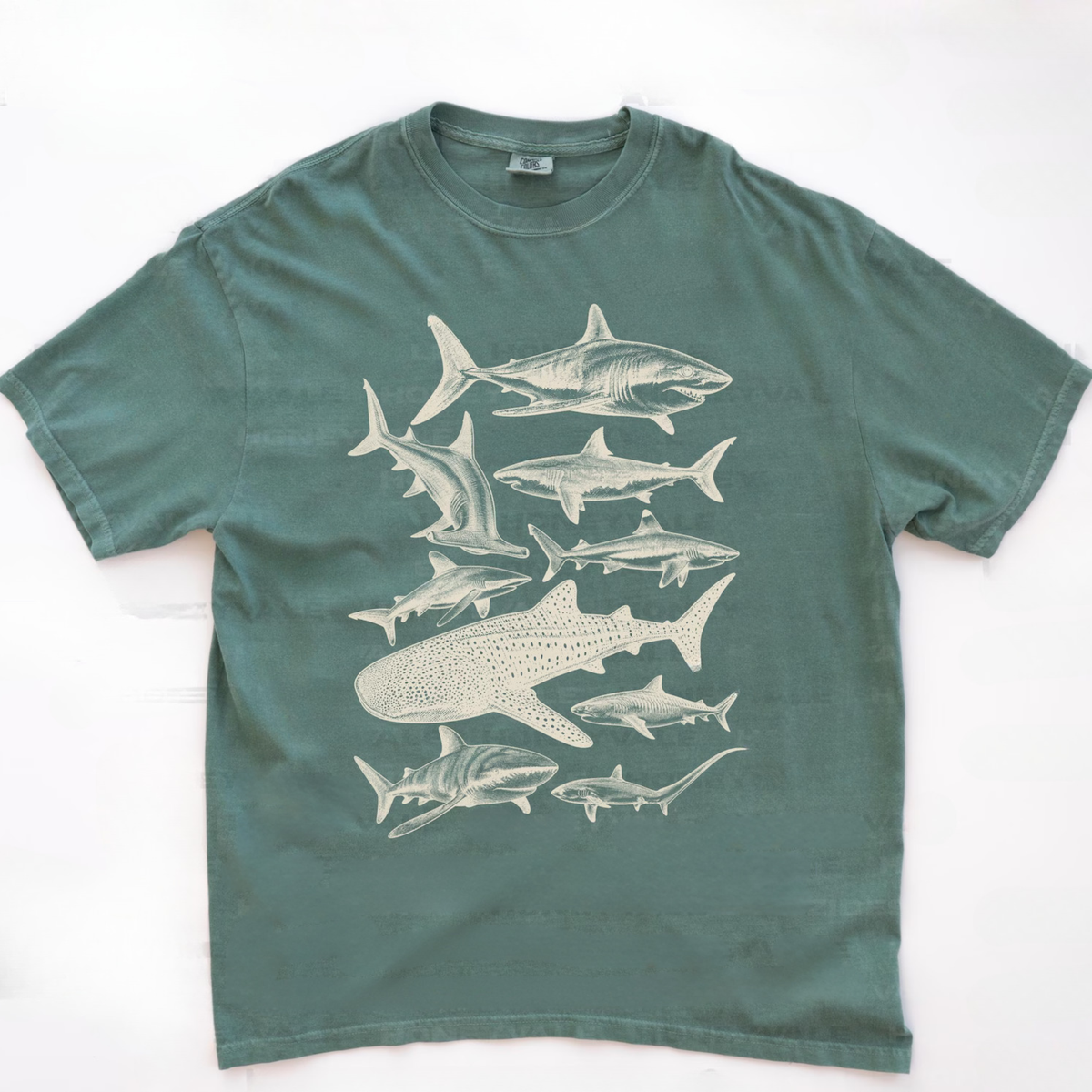 Vintage Shark Species Shirt V1